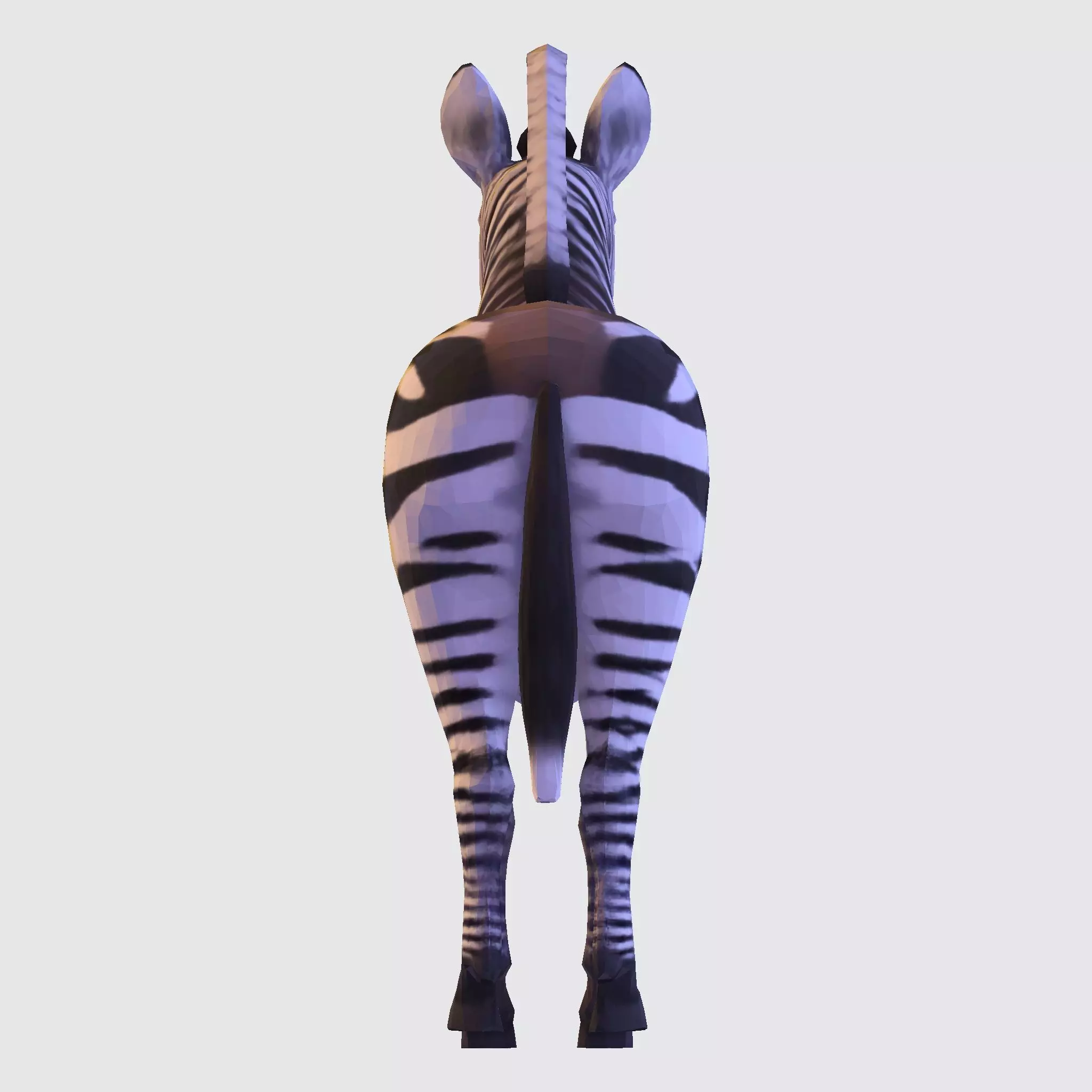Realistic Zebra 3D Model Rigging Ready Printable Game Low-poly 3D model_17