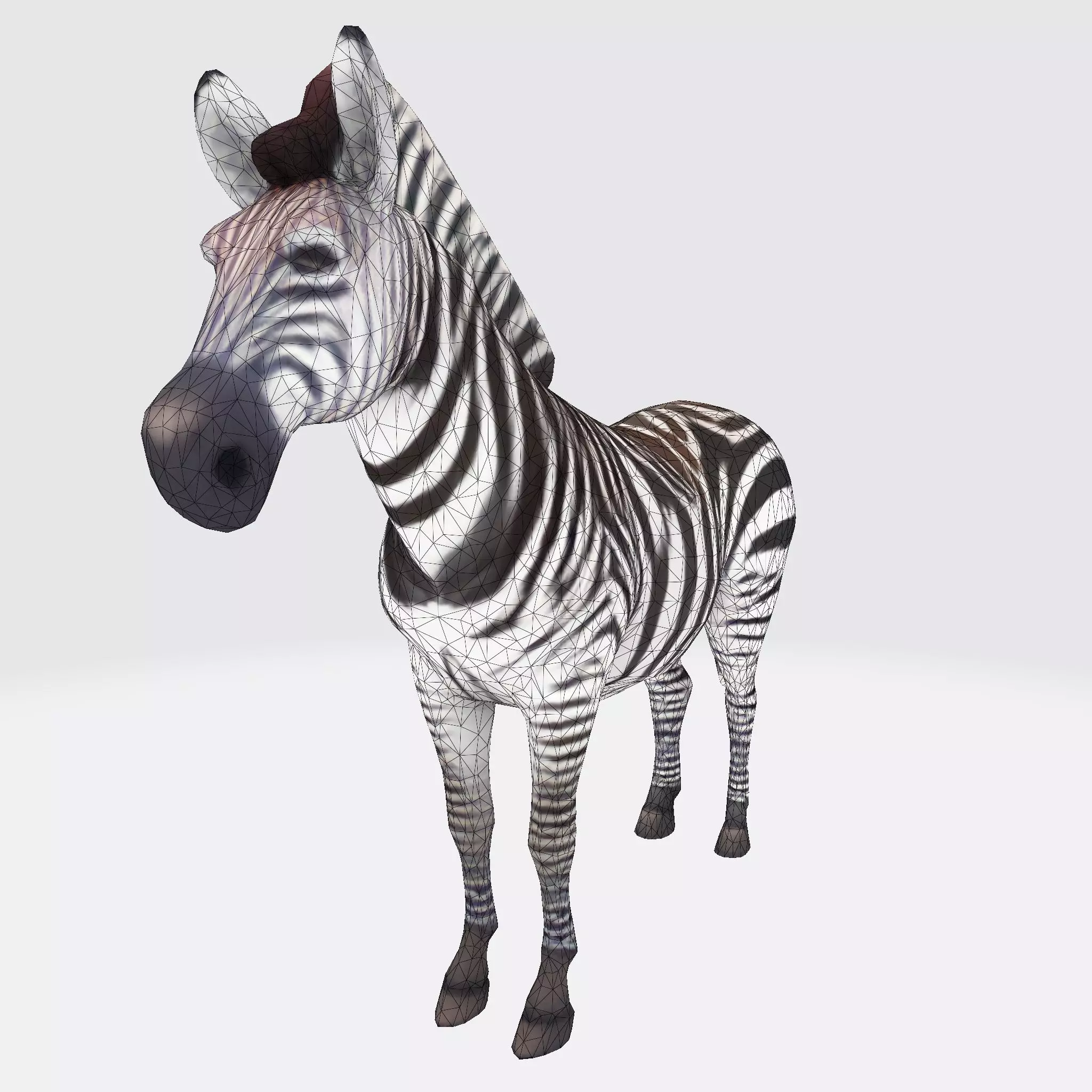 Realistic Zebra 3D Model Rigging Ready Printable Game Low-poly 3D model_20