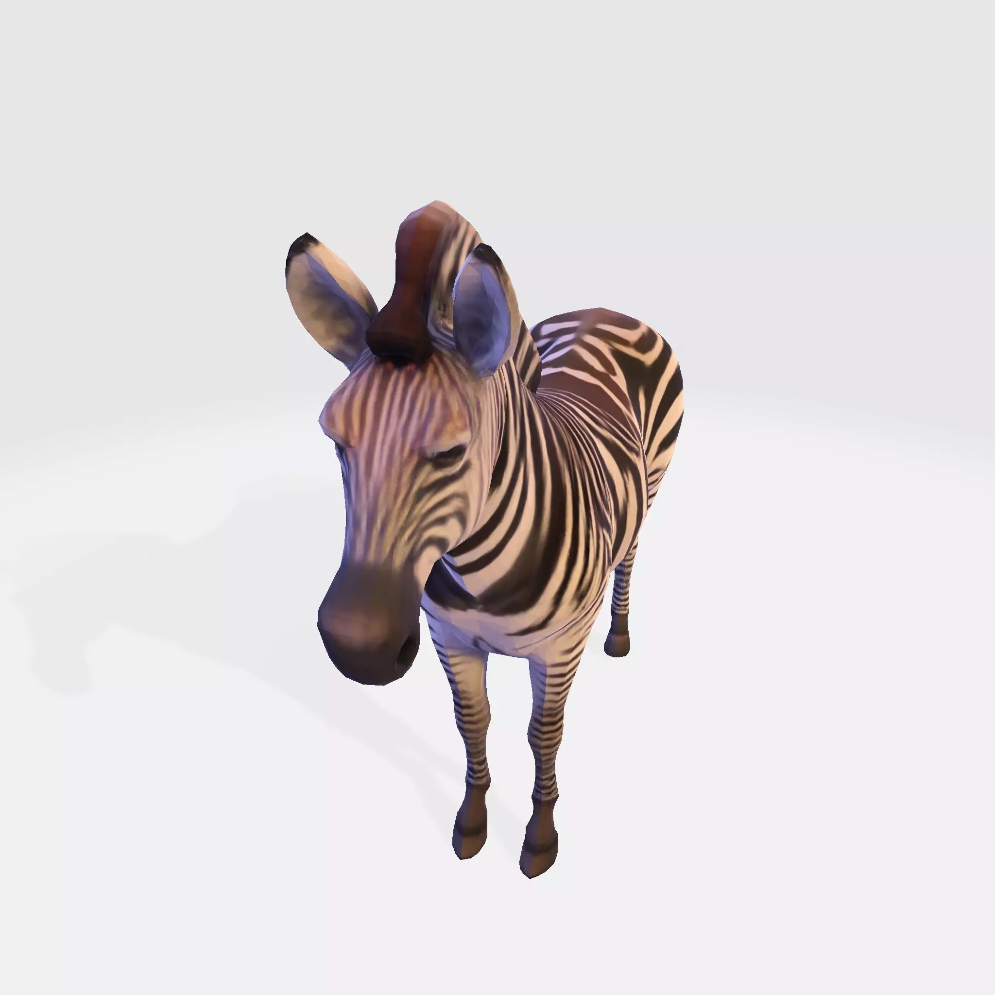Realistic Zebra 3D Model Rigging Ready Printable Game Low-poly 3D model_10