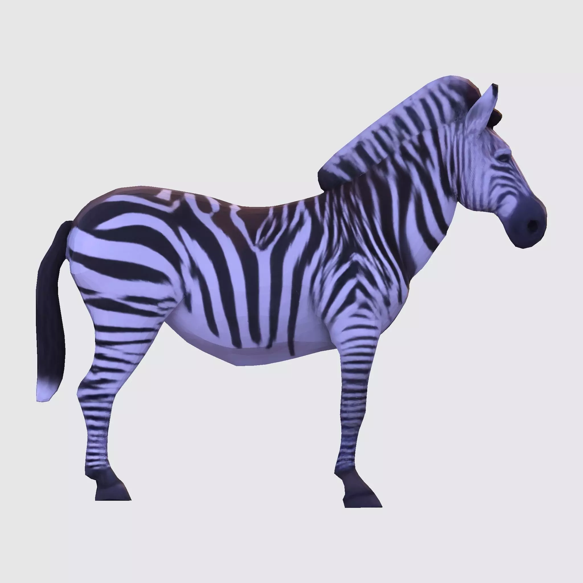 Realistic Zebra 3D Model Rigging Ready Printable Game Low-poly 3D model_14