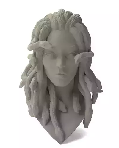 Medusa Head 3D Print