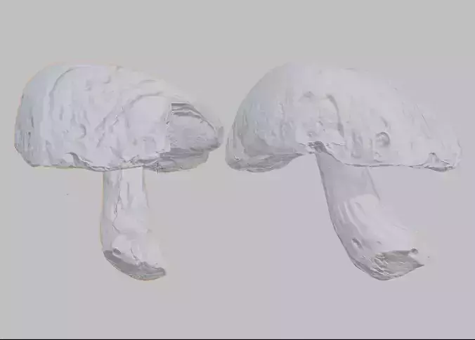 Boletus edulis - Mushroom photoscan Low-poly 3D model 5