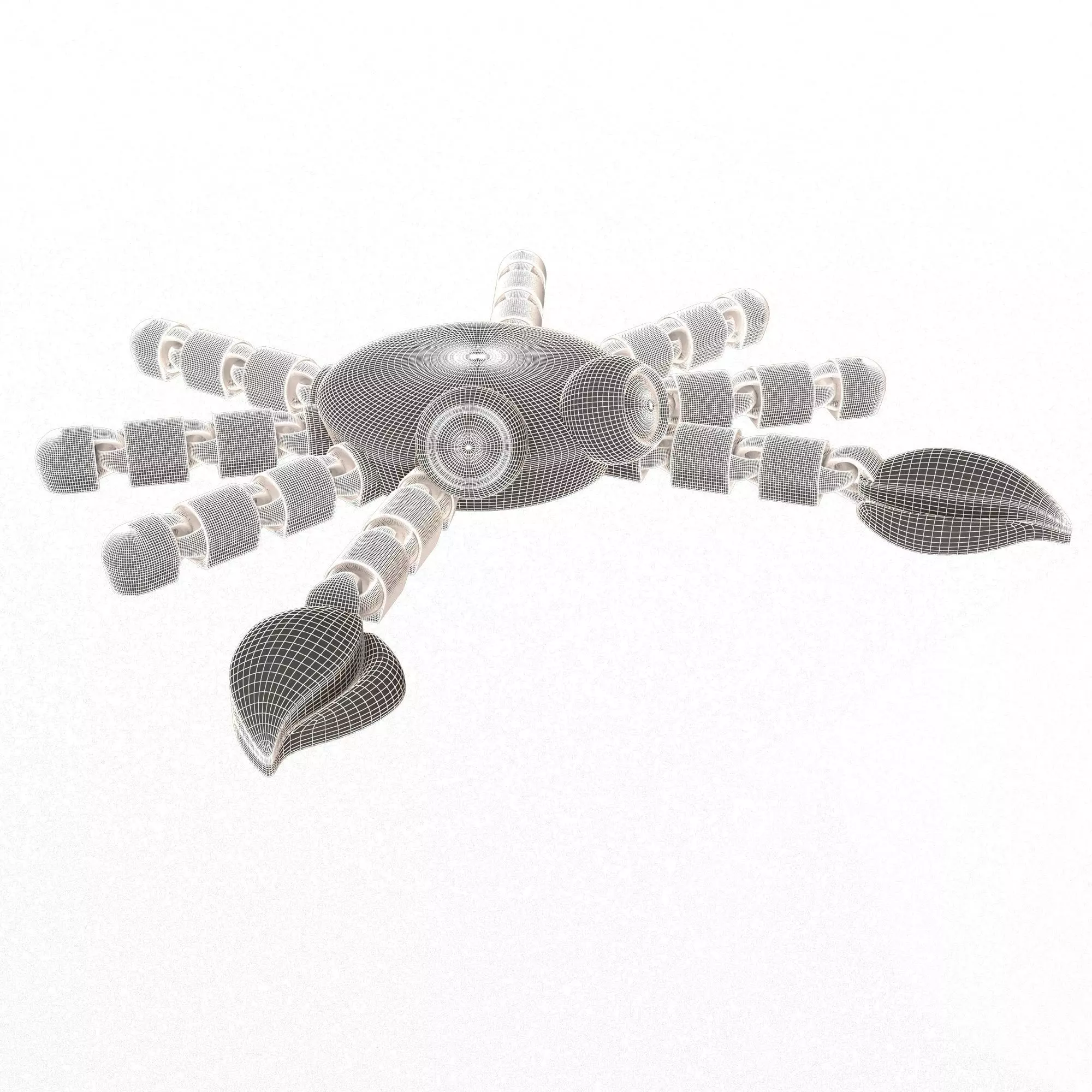 Crab 01 Cute Flexi Articulated Skeleton 3D print model_6