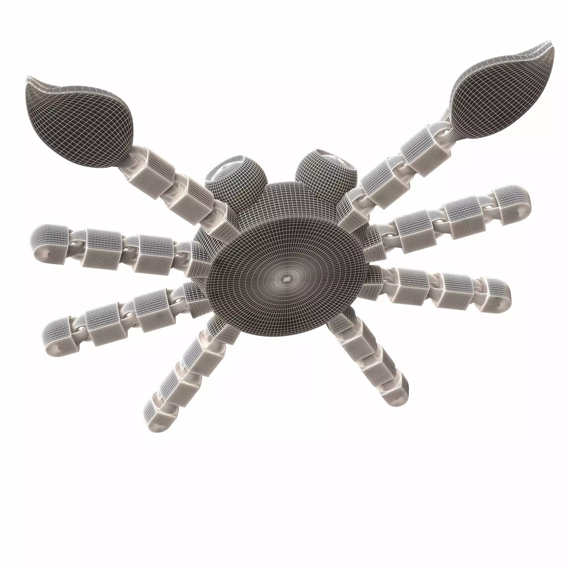 Crab 01 Cute Flexi Articulated Skeleton 3D print model_10