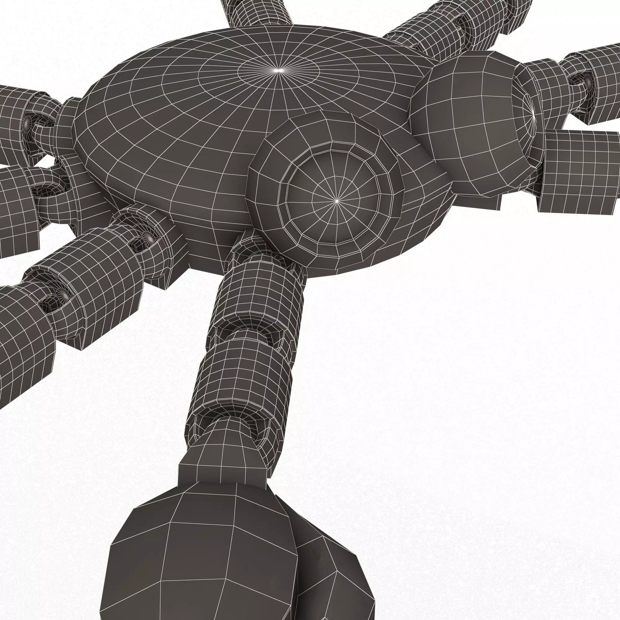 Crab 01 Cute Flexi Articulated Skeleton 3D print model_14