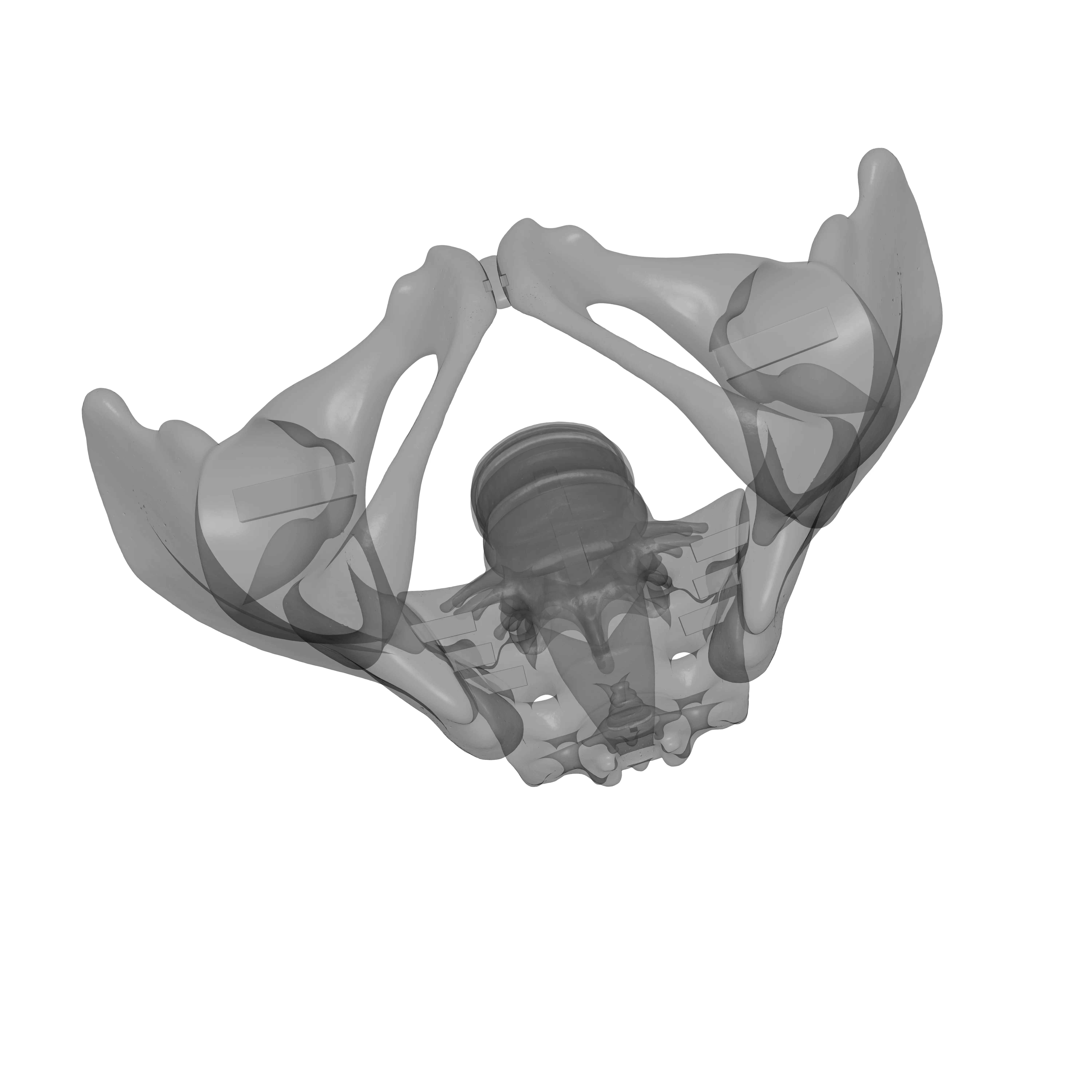 Lumbar Spine - Ilium 3D print model_19