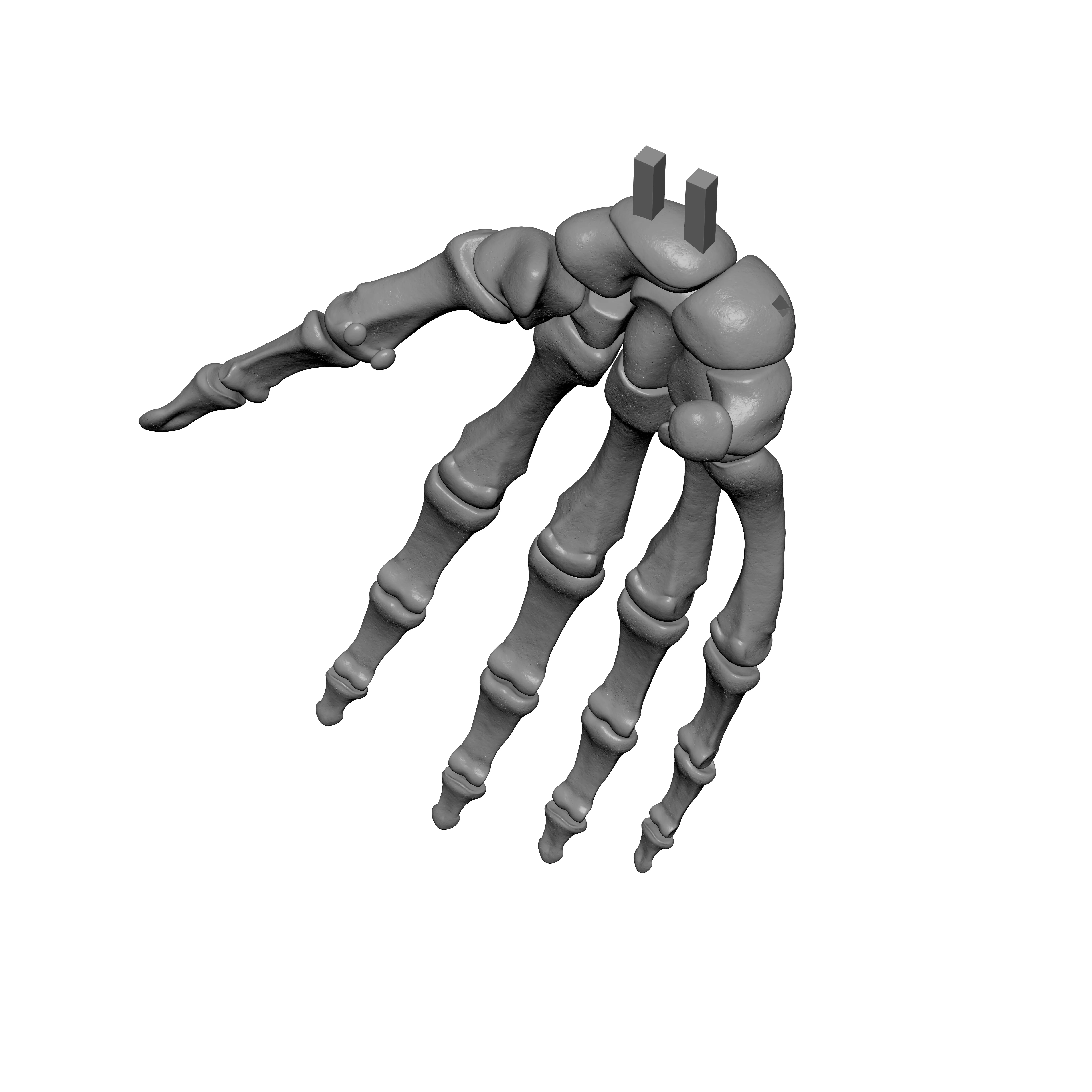 Human Rt Hand Bones 3D print model_6