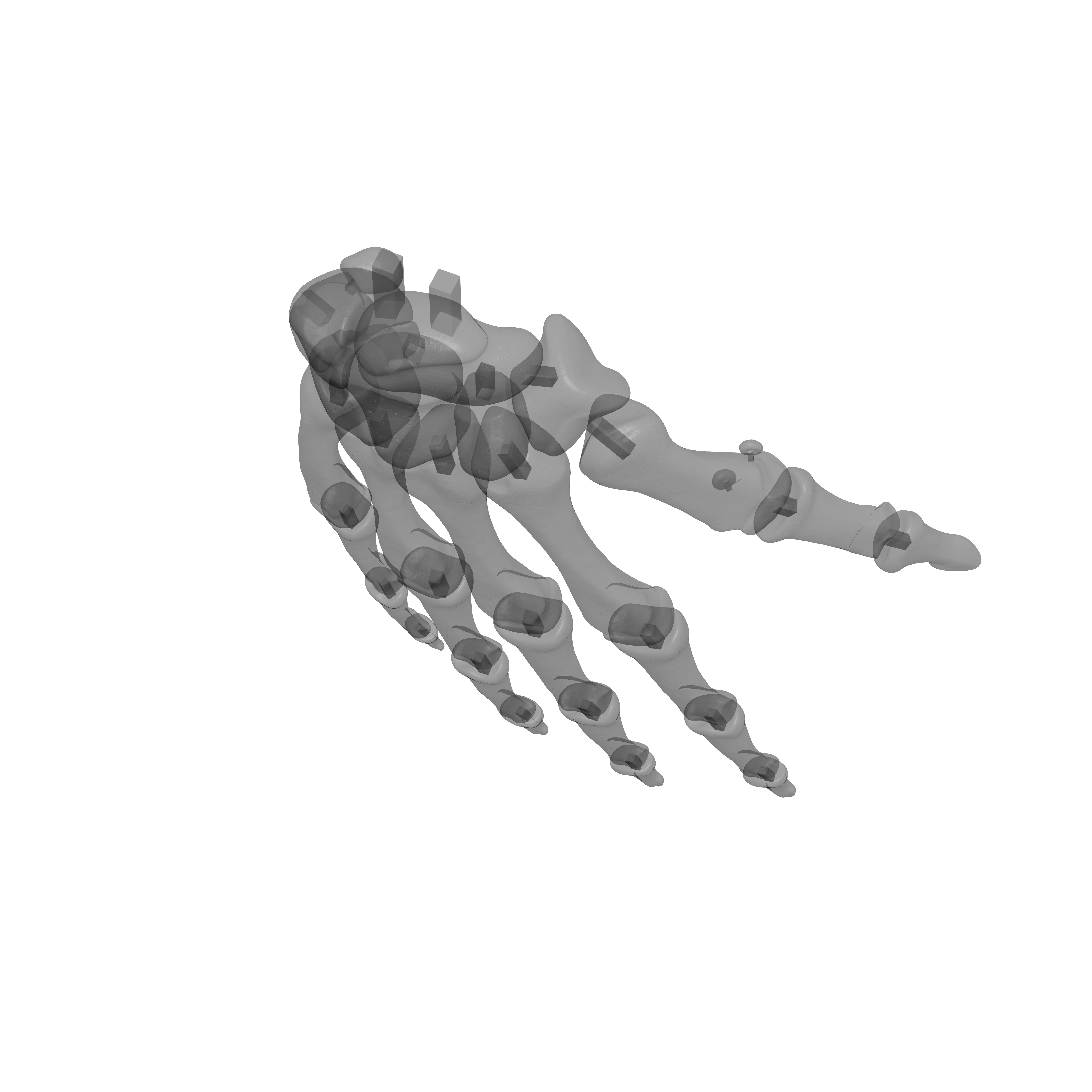 Human Rt Hand Bones 3D print model_17