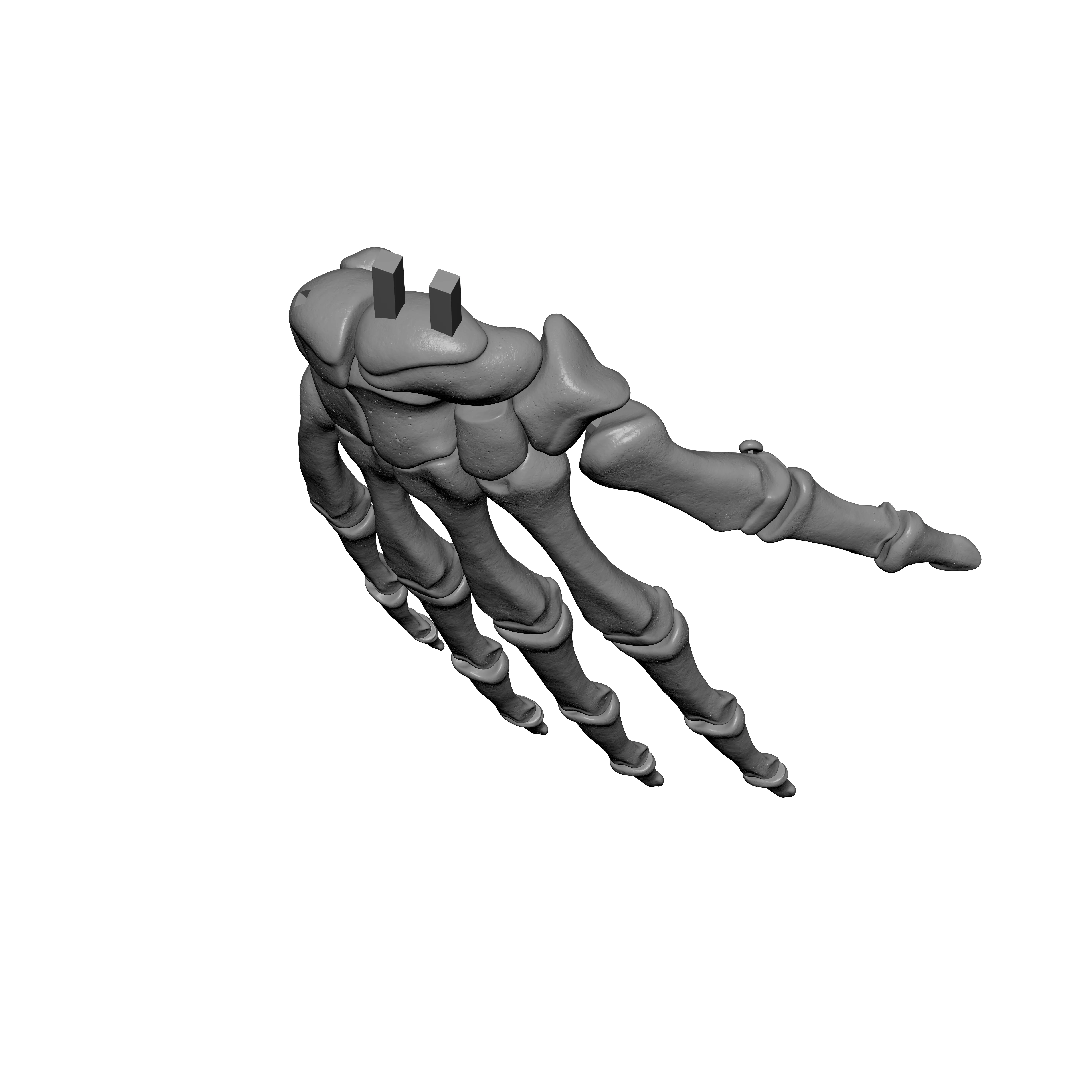 Human Rt Hand Bones 3D print model_5