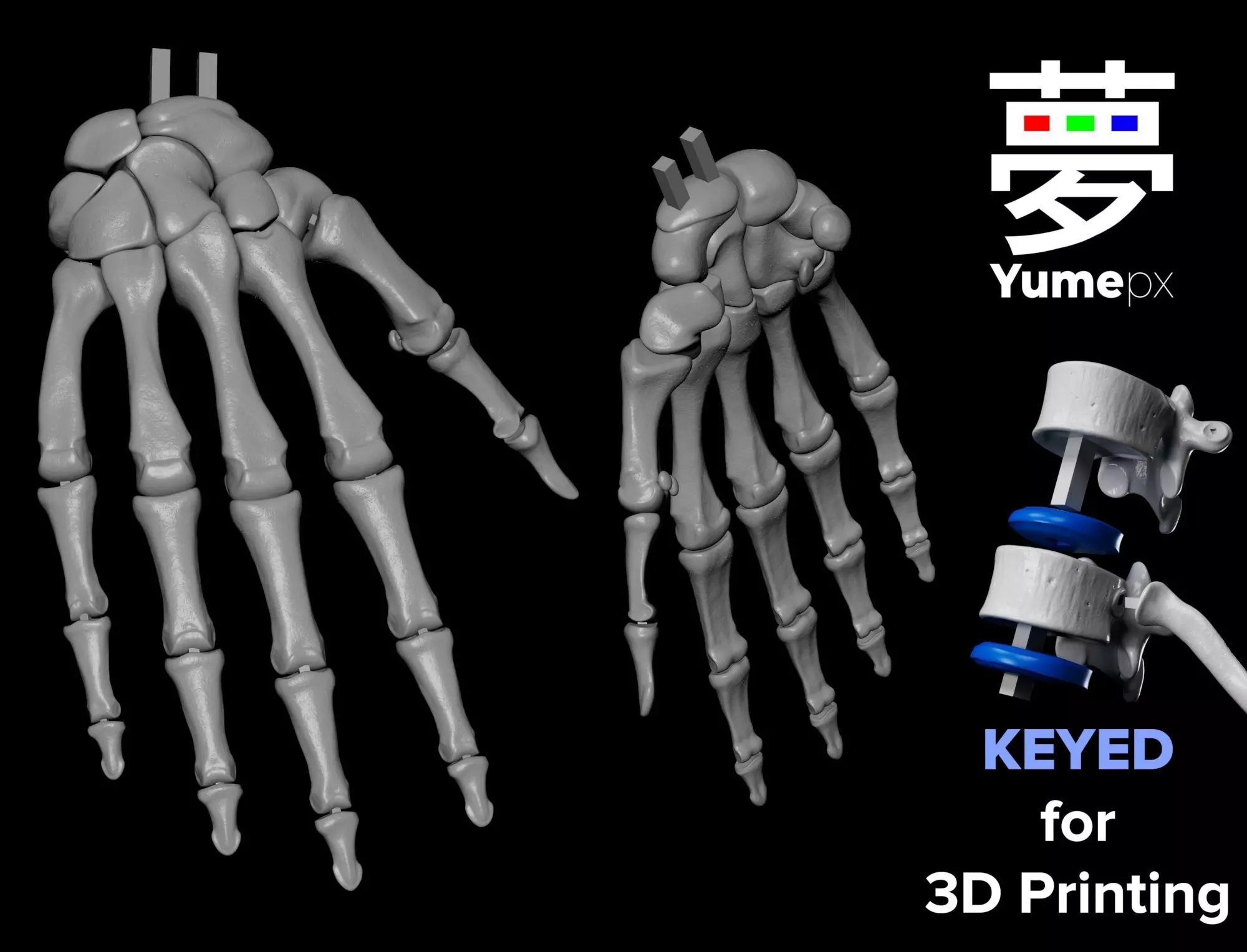 Human Rt Hand Bones 3D print model_0