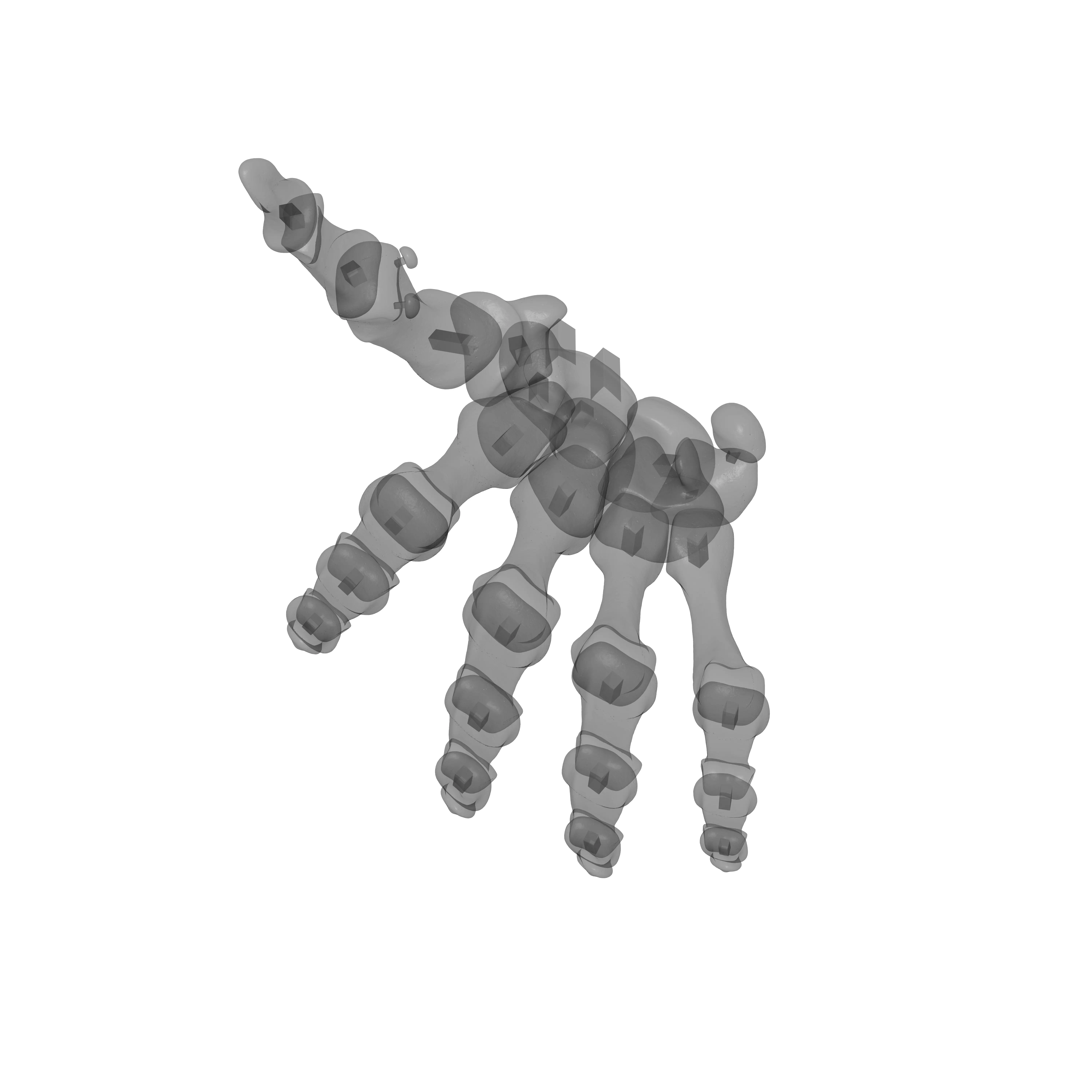 Human Rt Hand Bones 3D print model_20