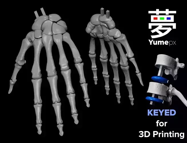 Human Lt Hand Bones 3D print model