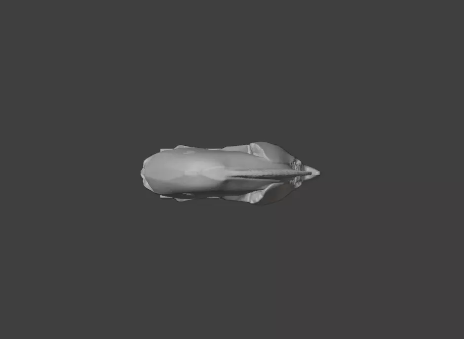 Wooden Fish Sculpture Low-poly 3D model_15