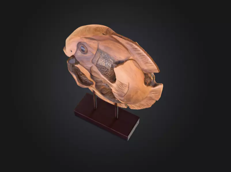 Wooden Fish Sculpture Low-poly 3D model_7