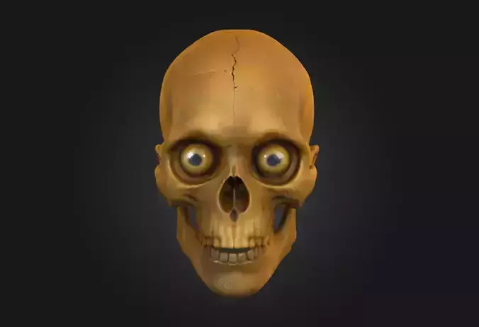 Human Skull Low-poly 3D model