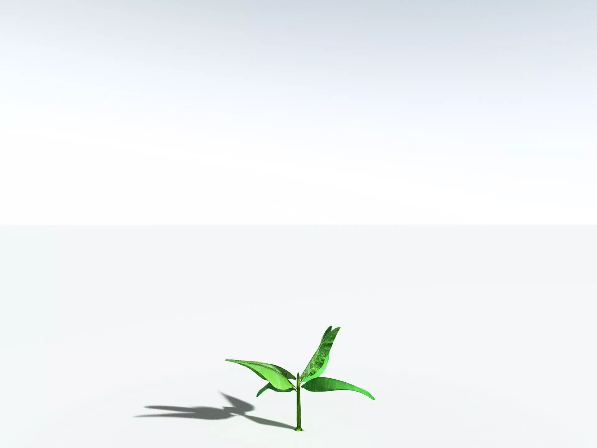 EVERYPlant Banana Plant 3D model_39