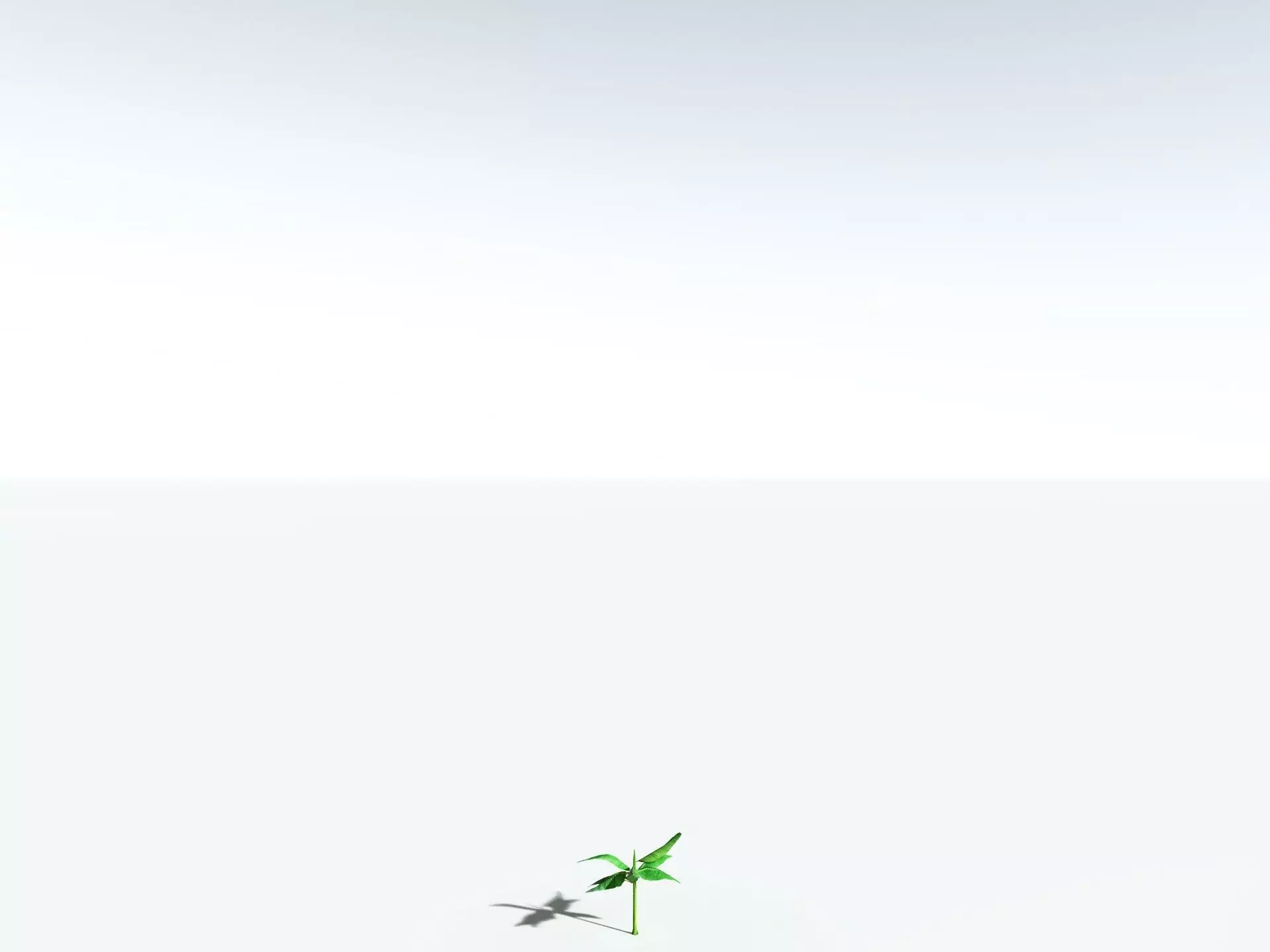 EVERYPlant Banana Plant 3D model_36