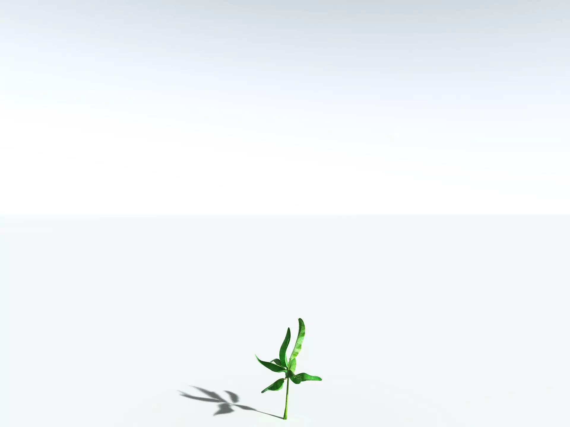 EVERYPlant Banana Plant 3D model_34