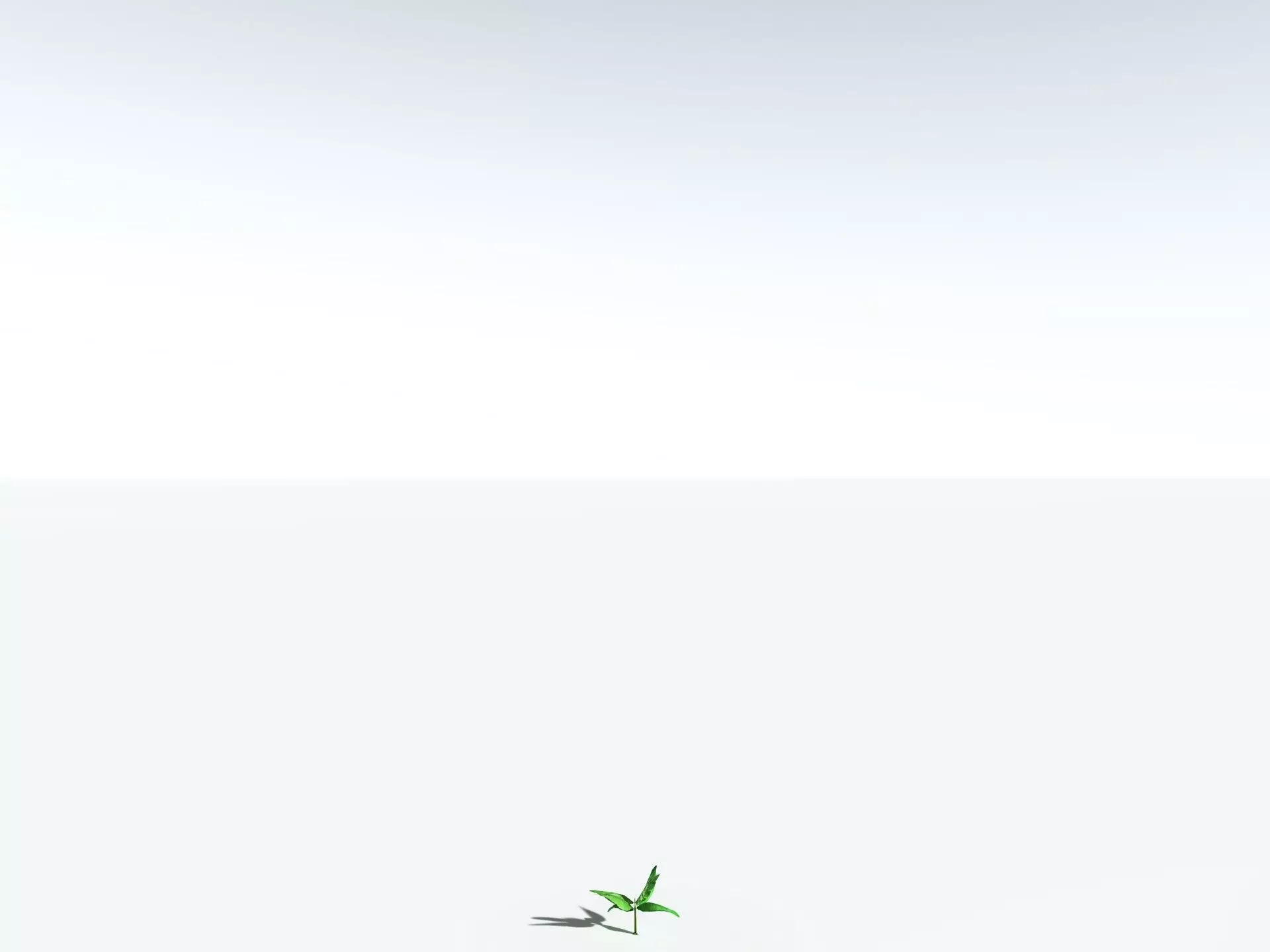 EVERYPlant Banana Plant 3D model_38