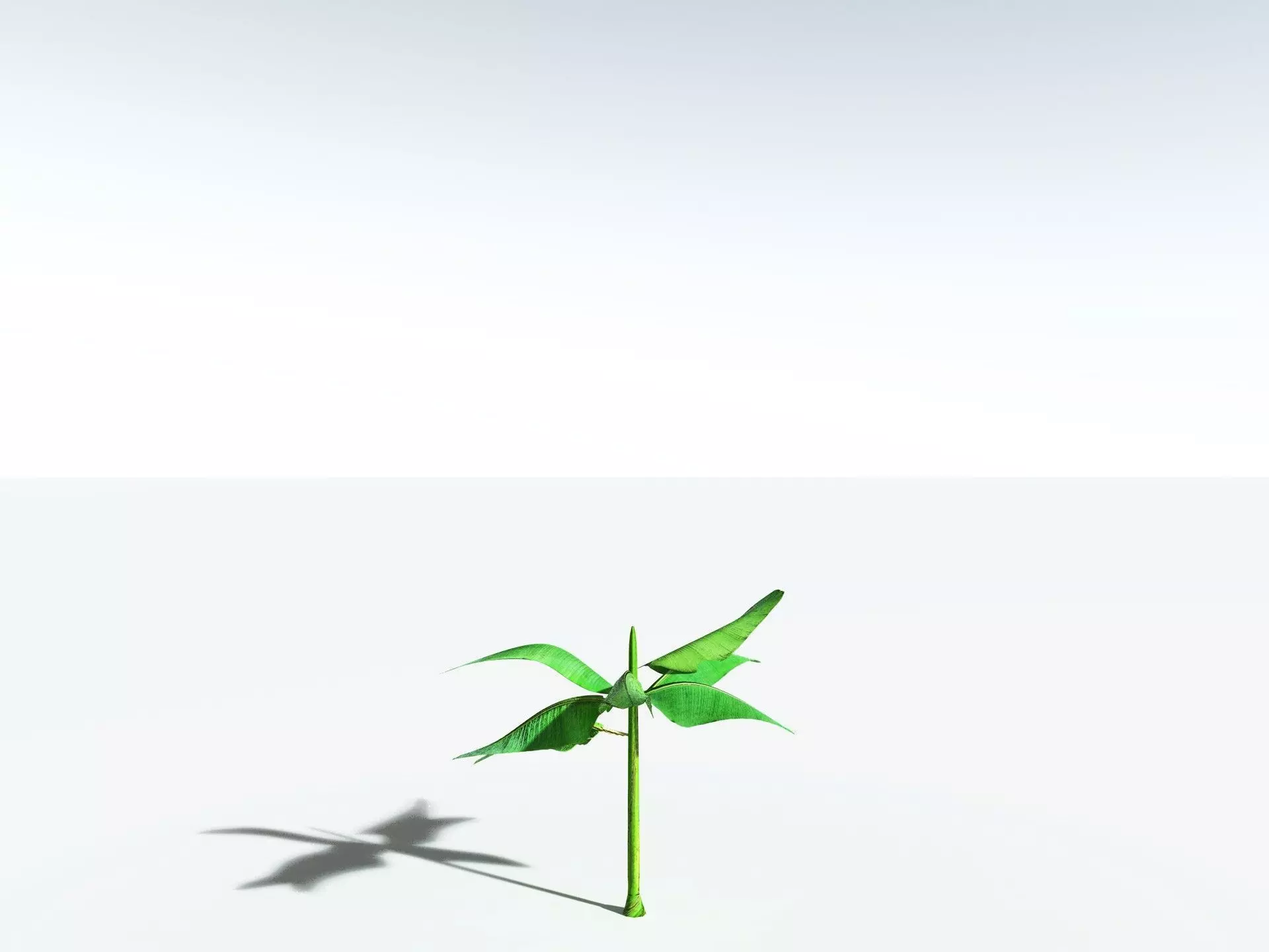 EVERYPlant Banana Plant 3D model_37