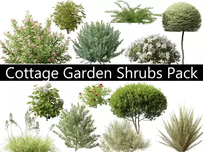 Cottage Garden Shrubs Pack 15