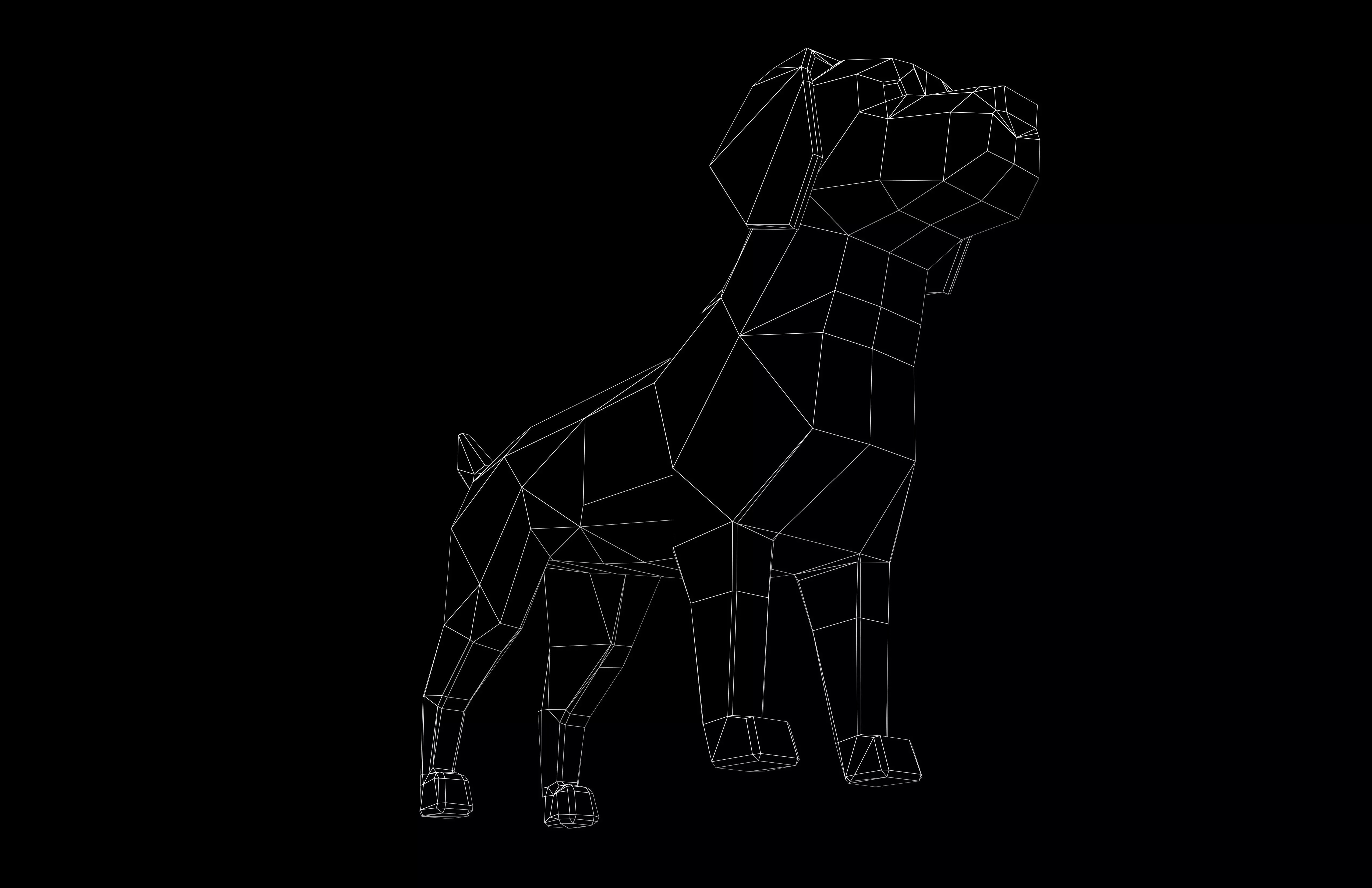 Lowpoly Dog v1 002 Low-poly 3D model_7