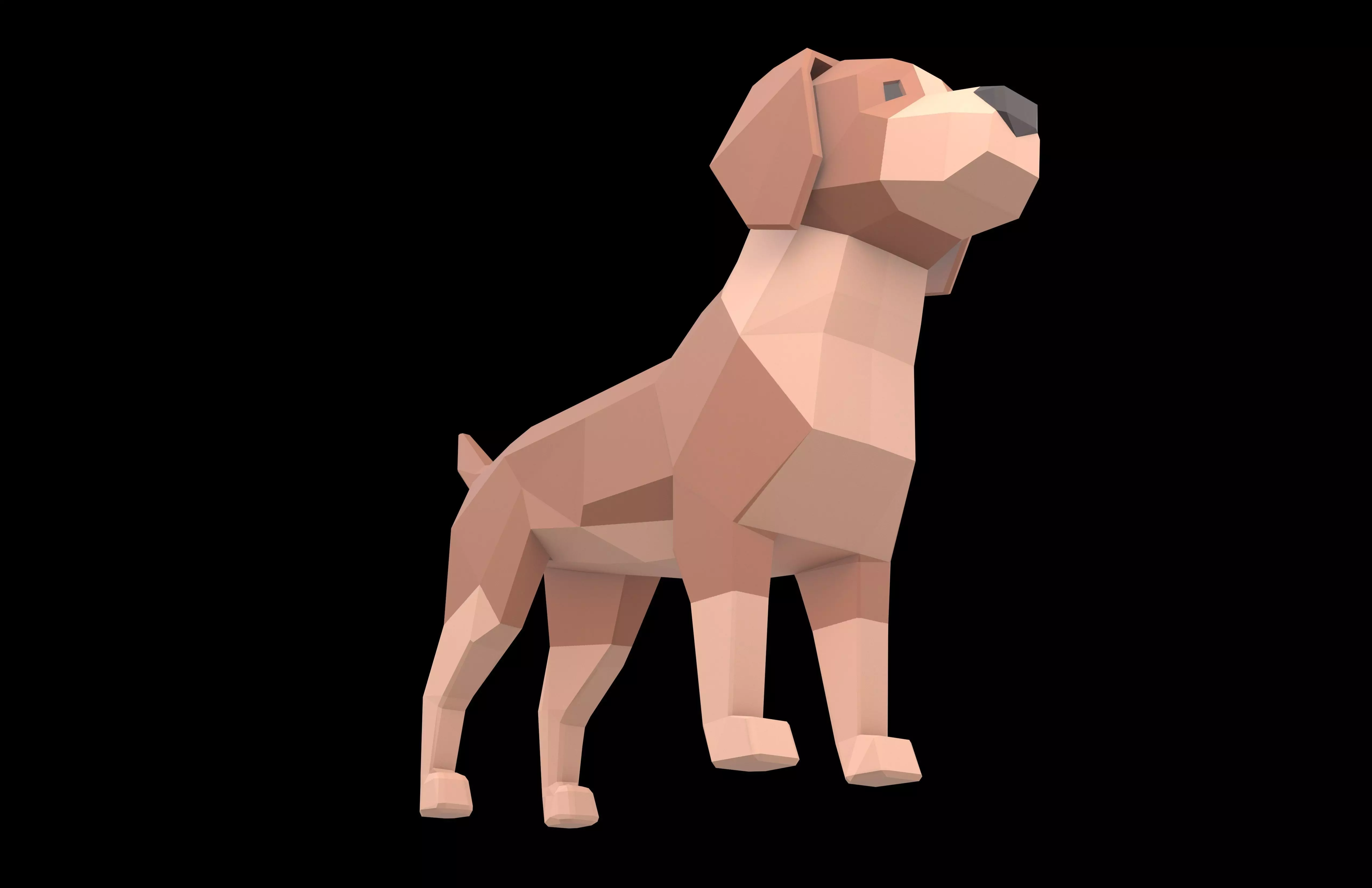 Lowpoly Dog v1 002 Low-poly 3D model_3