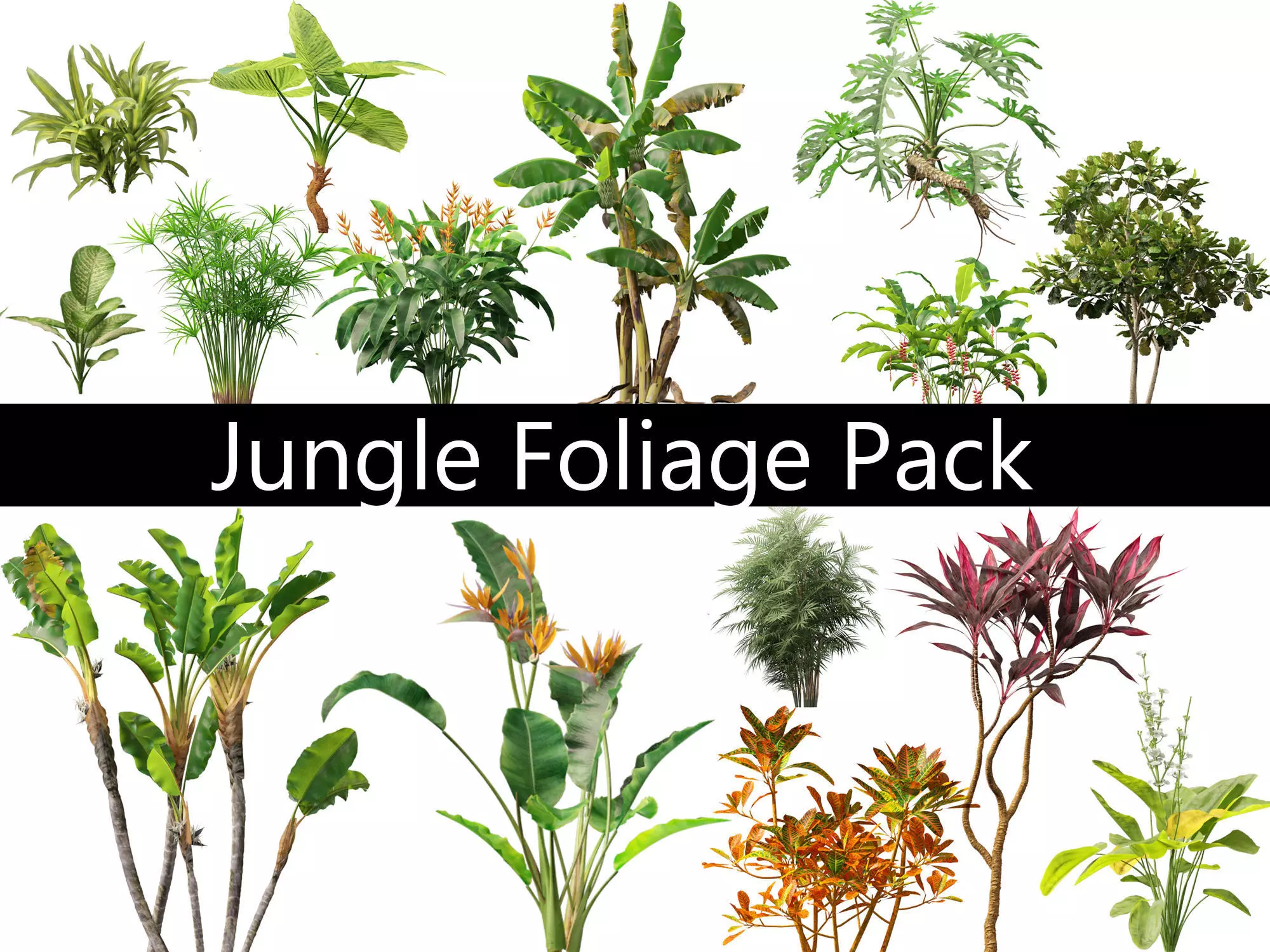 Jungle Foliage Pack 16 3D model_0