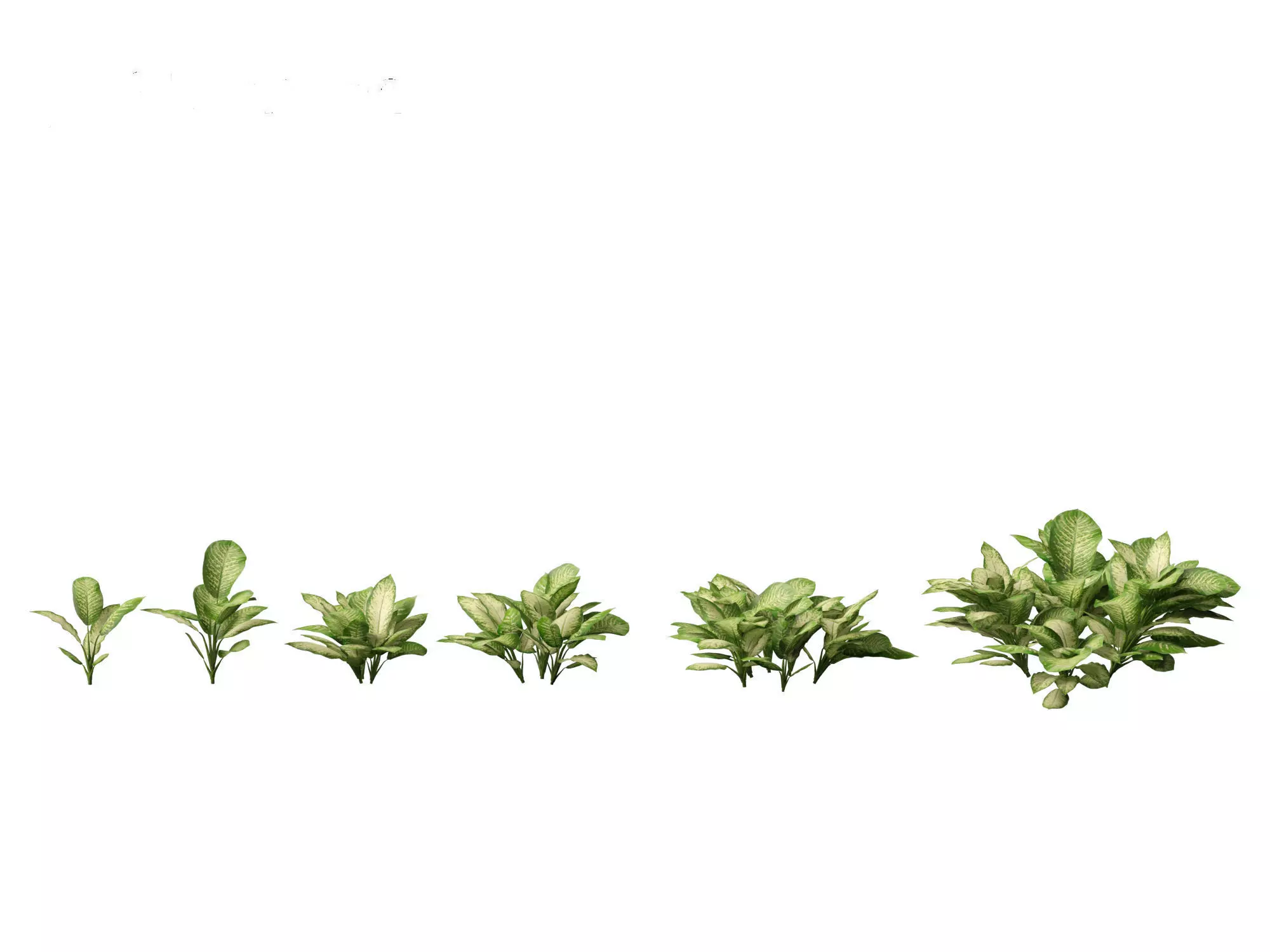 Jungle Foliage Pack 16 3D model_7