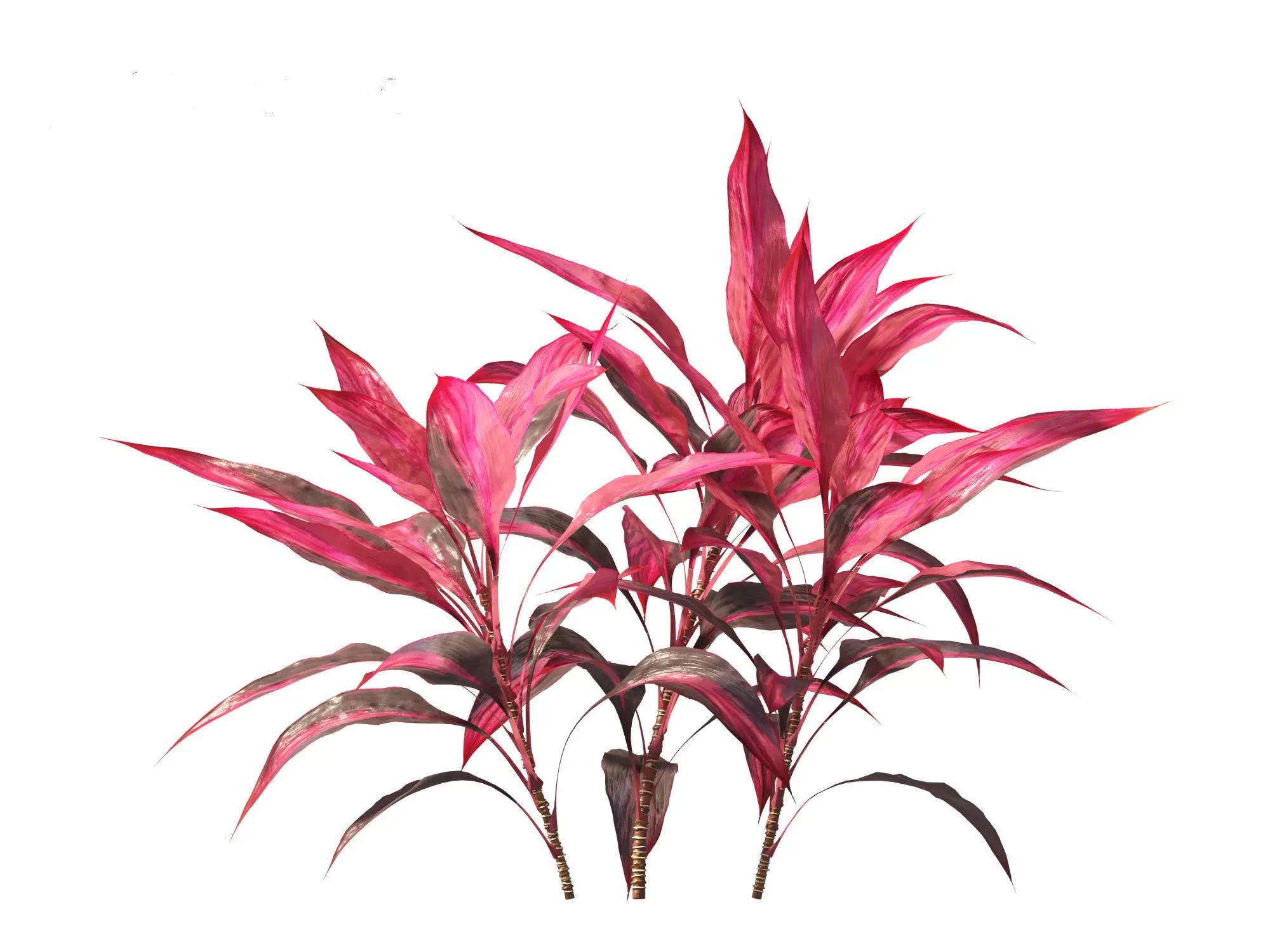 Jungle Foliage Pack 16 3D model_5