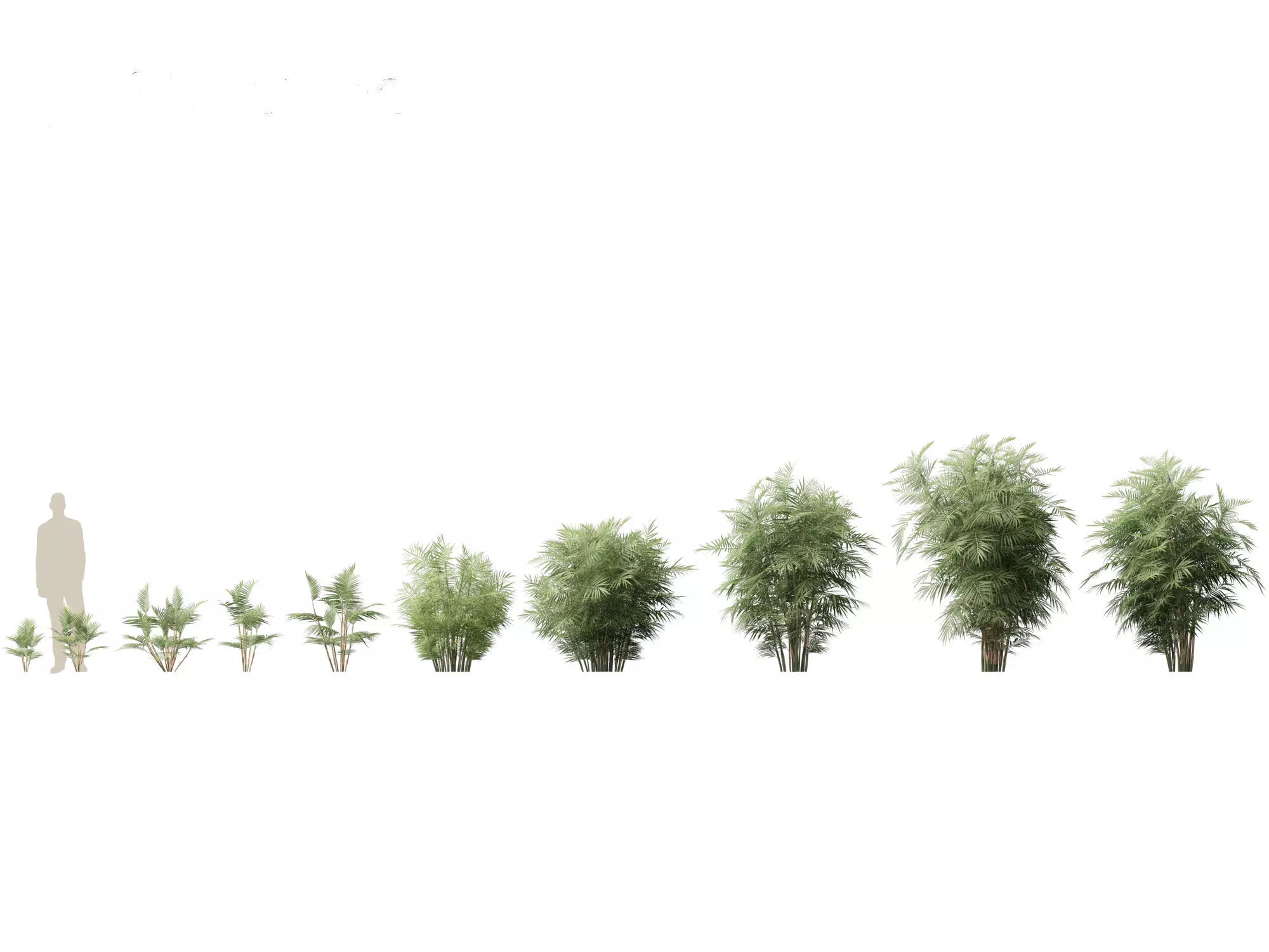 Jungle Foliage Pack 16 3D model_2