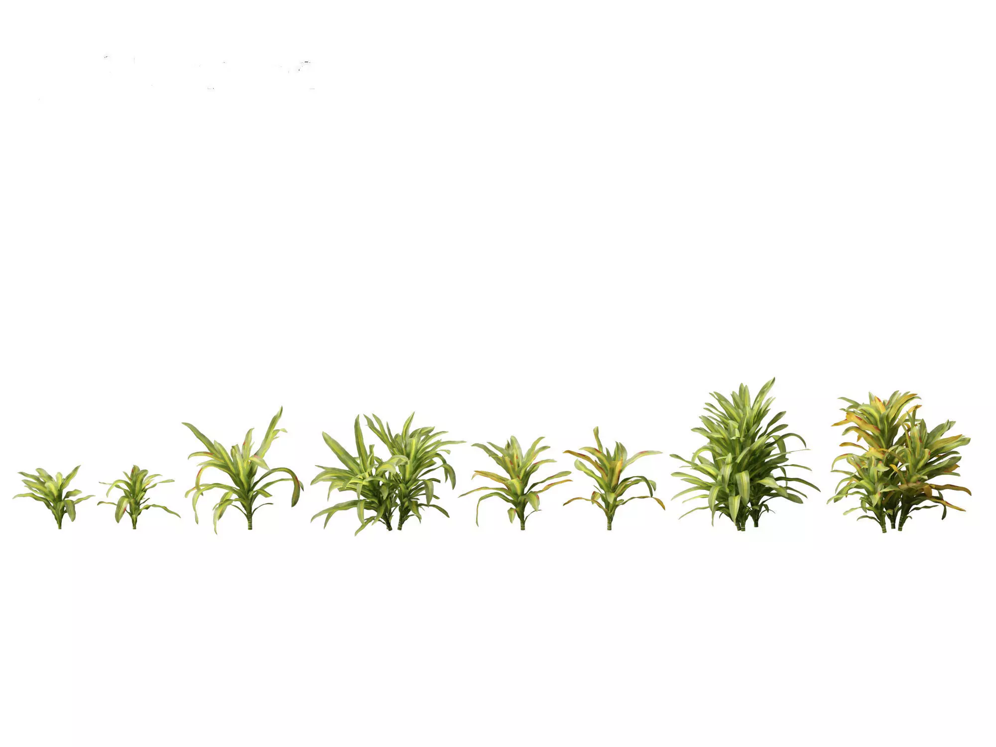 Jungle Foliage Pack 16 3D model_8