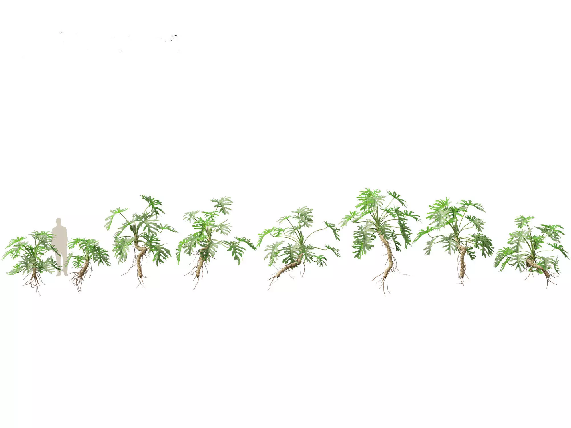 Jungle Foliage Pack 16 3D model_17