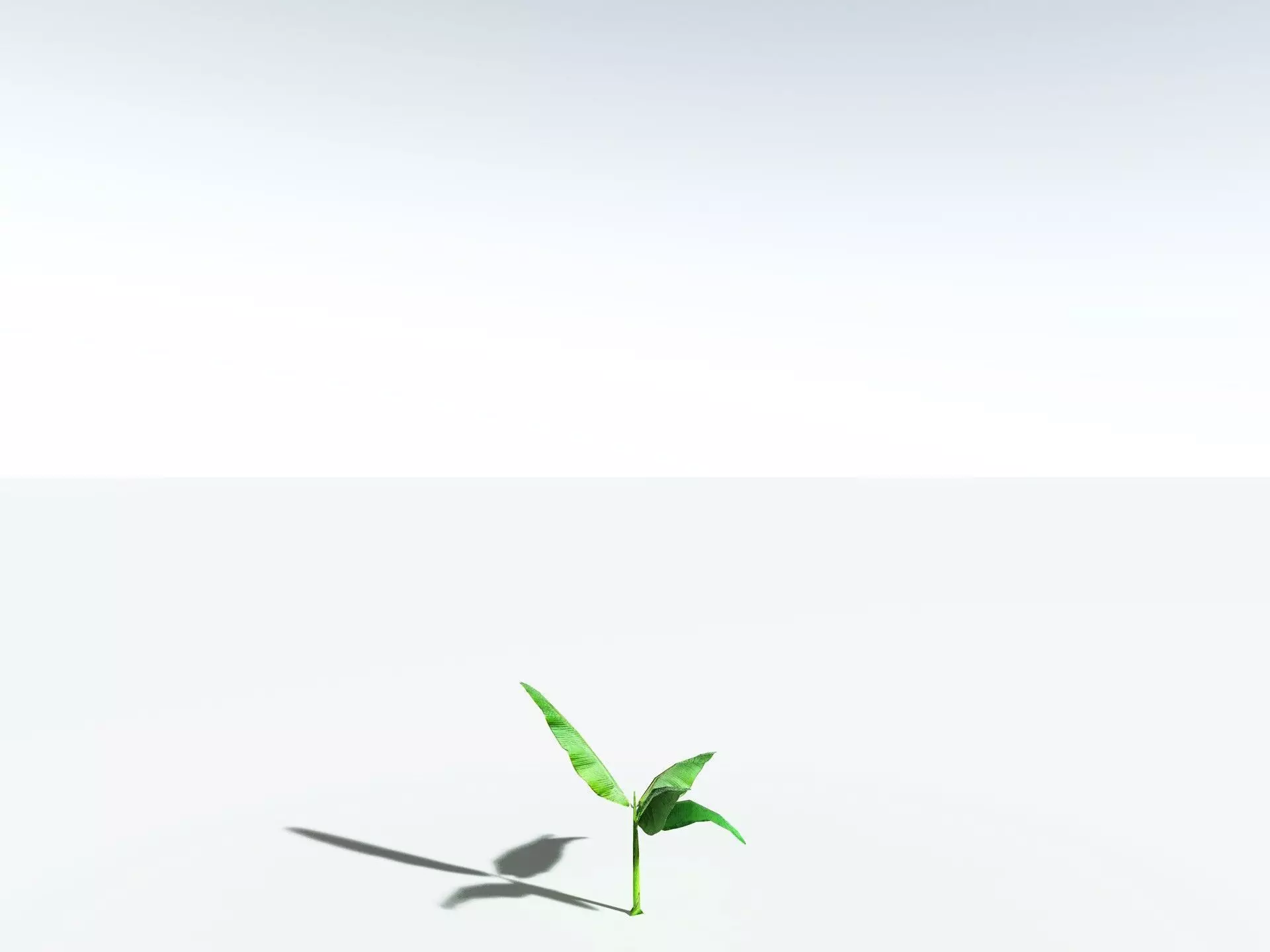 EVERYPlant Banana Plant LowPoly Low-poly 3D model_39