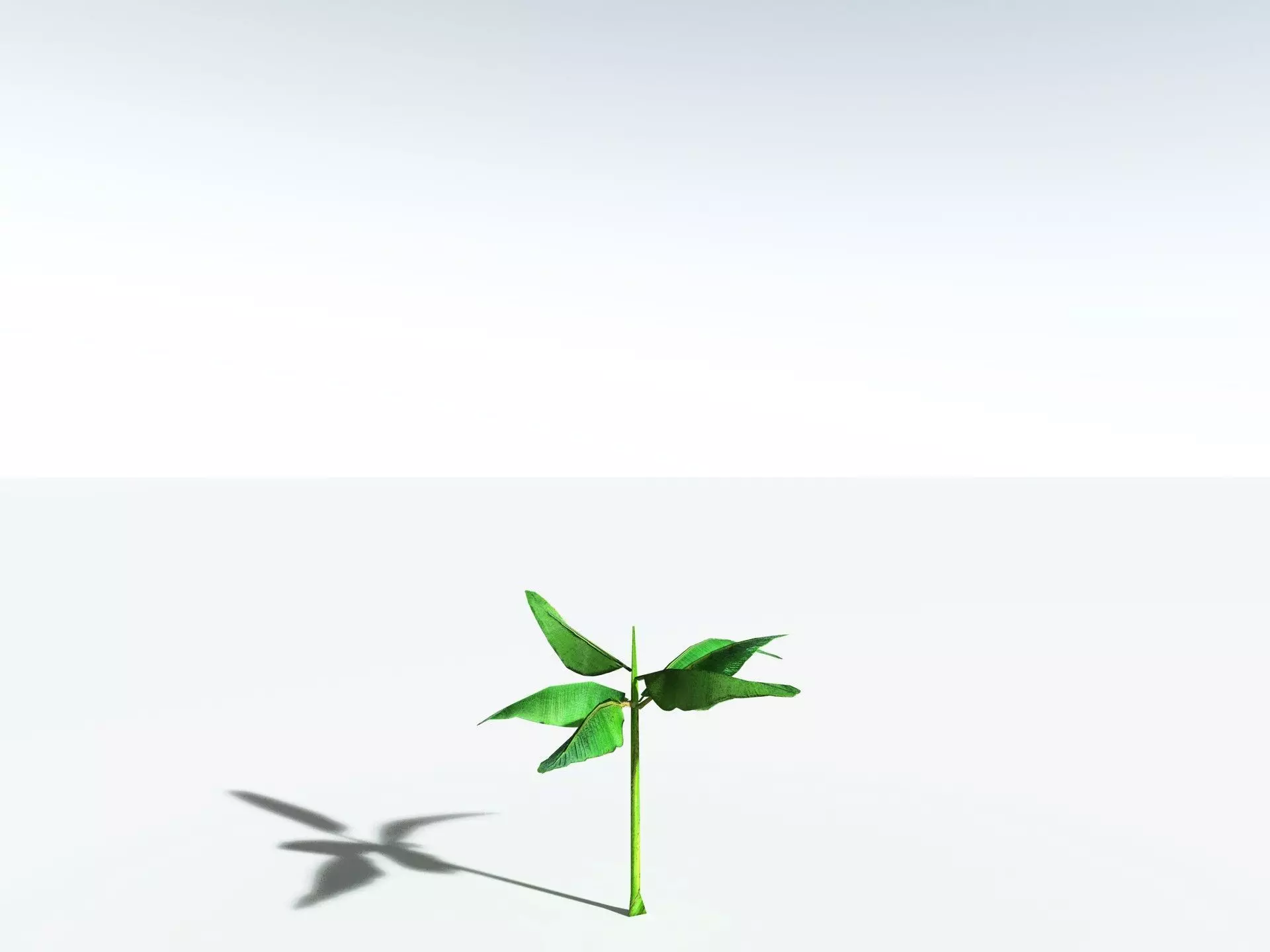 EVERYPlant Banana Plant LowPoly Low-poly 3D model_37