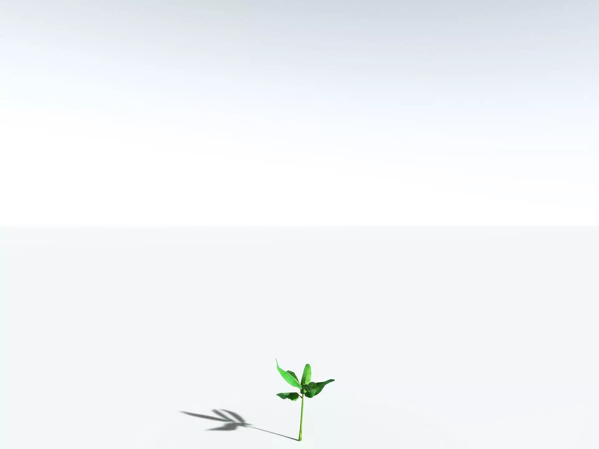 EVERYPlant Banana Plant LowPoly Low-poly 3D model_34