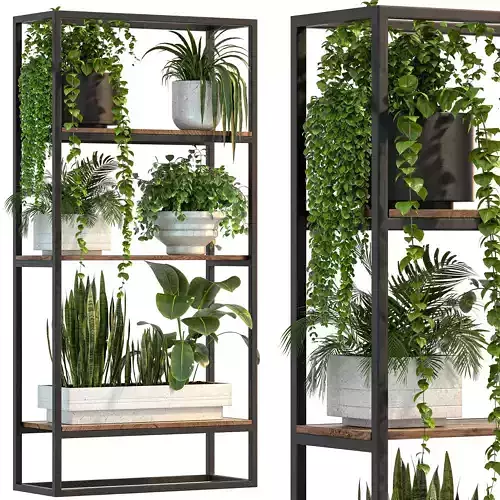 Metal Stand and Wooden Shelf Plant