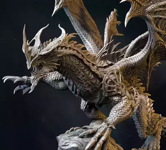 Adult Dragon 3D Print Model