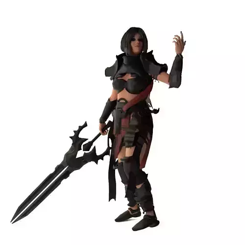 Paladin Warrior Woman