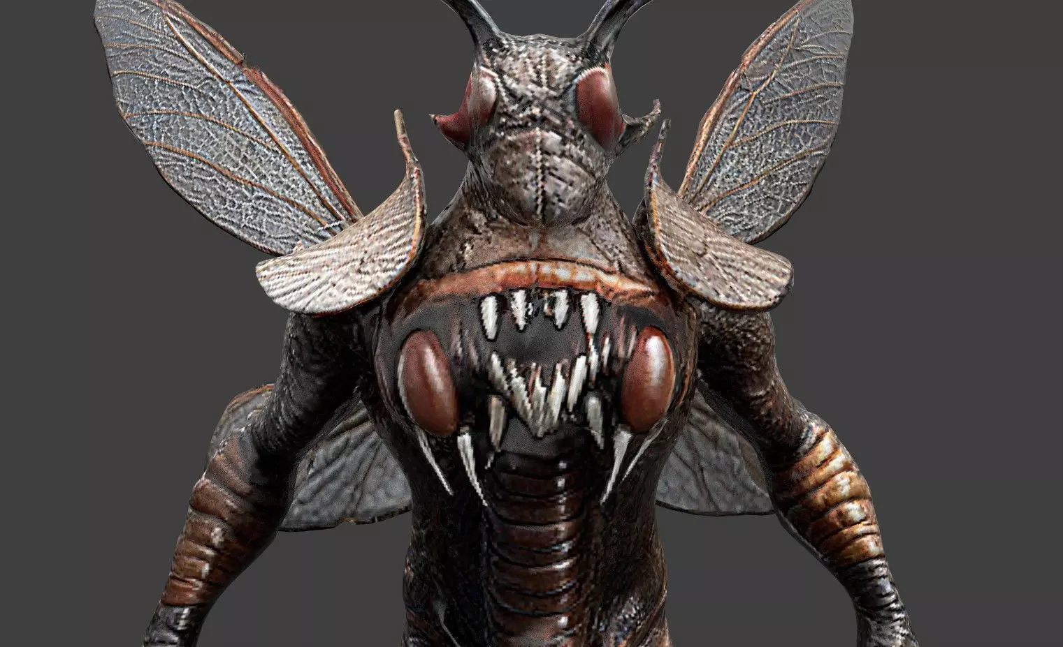 Animal Warrior Pack 4 Low-poly 3D model_33