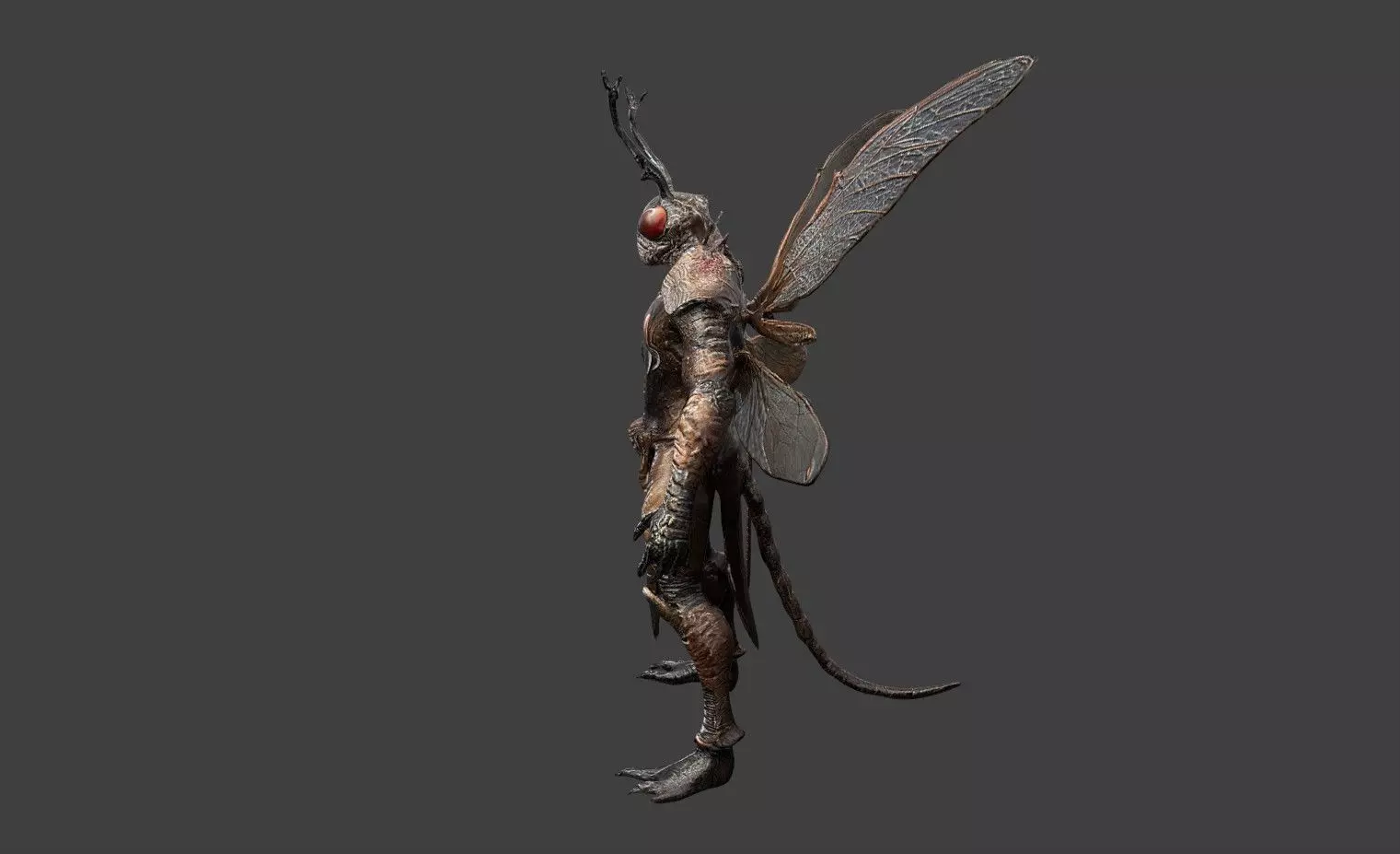 Animal Warrior Pack 4 Low-poly 3D model_19