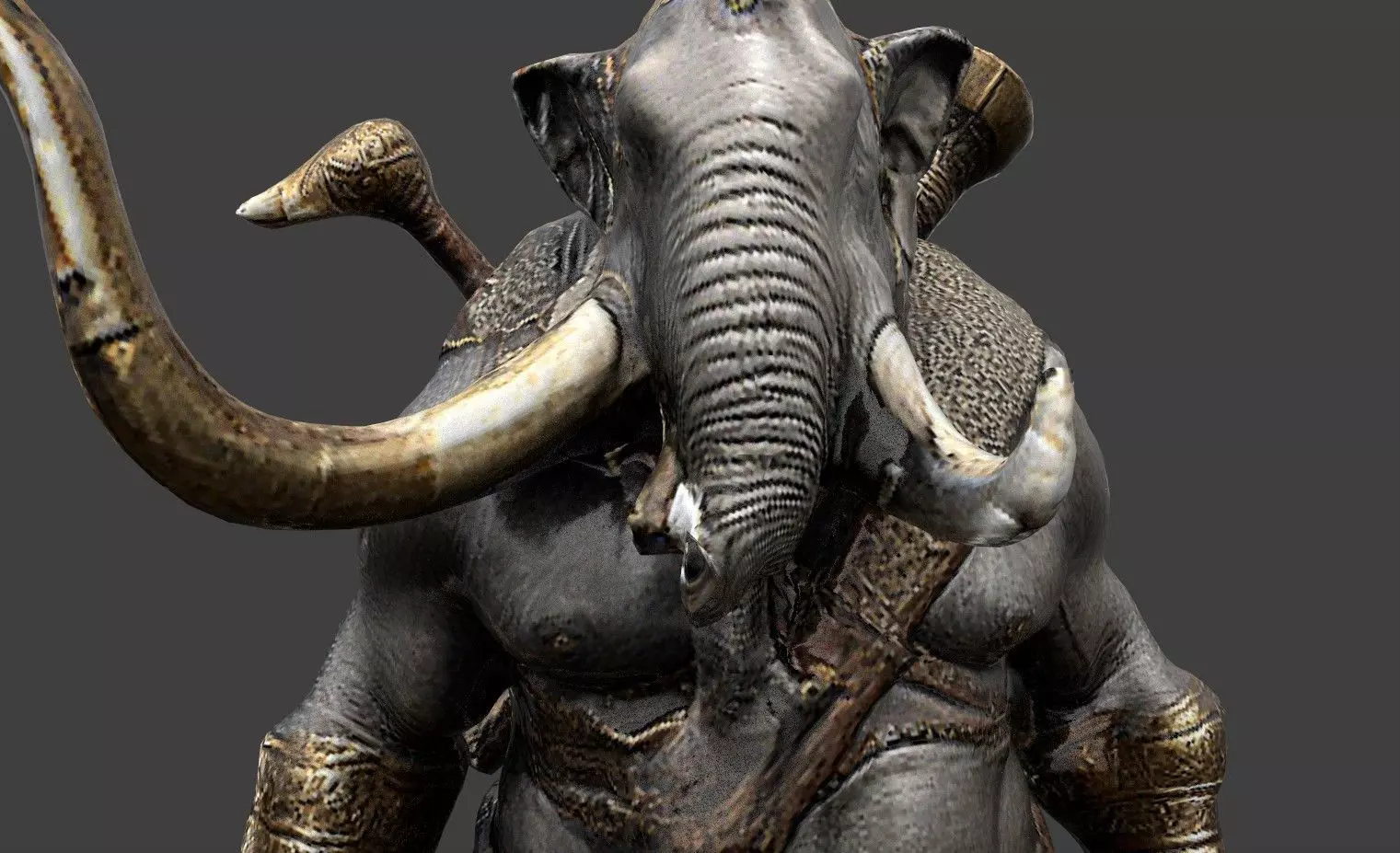 Animal Warrior Pack 4 Low-poly 3D model_47