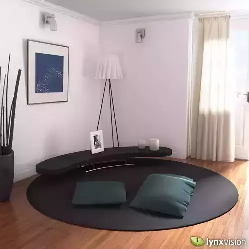 Carpet Coffee Table and Cushions