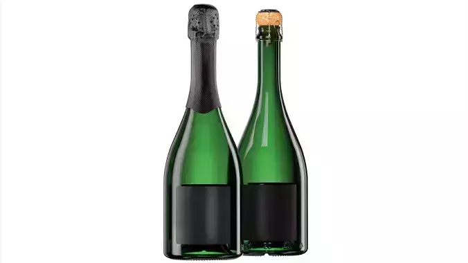 Champagne Bottle
