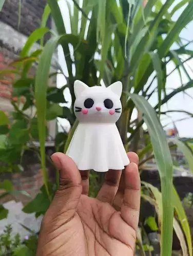 Halloween Special - Boo Cat