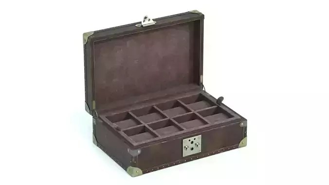 Luxury Vintage Watch Box Worn
