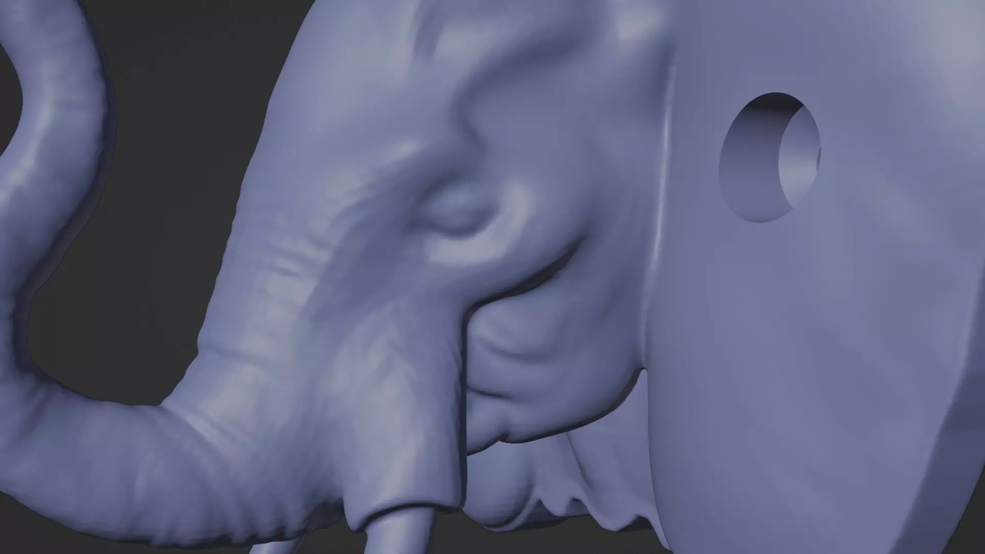 Elephant Wall Hook 3D print model_9