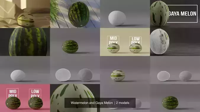 Watermelon and Gaya Melon  3D Model Collection