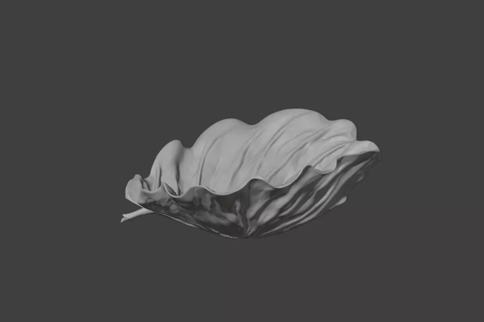 Leaf with Visible Veins 3D print model_10