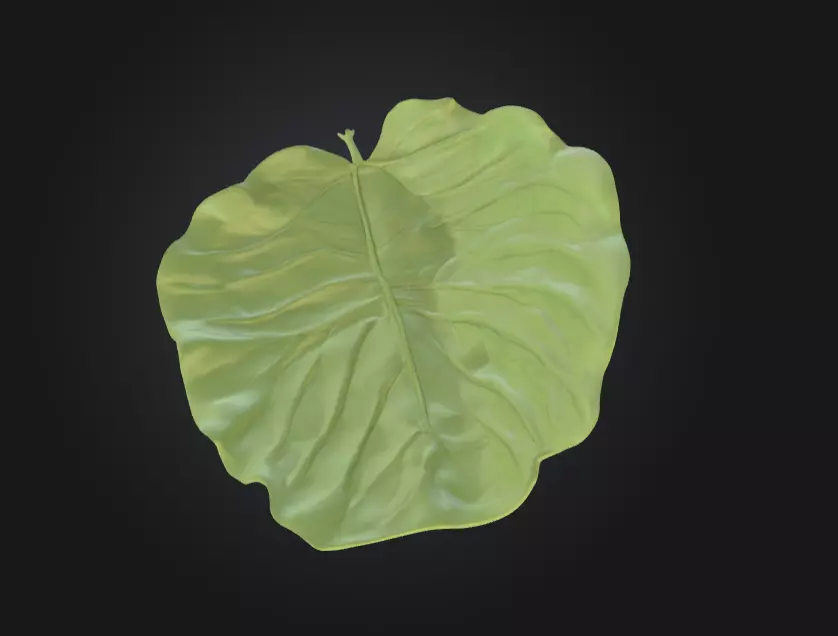Leaf with Visible Veins 3D print model_5